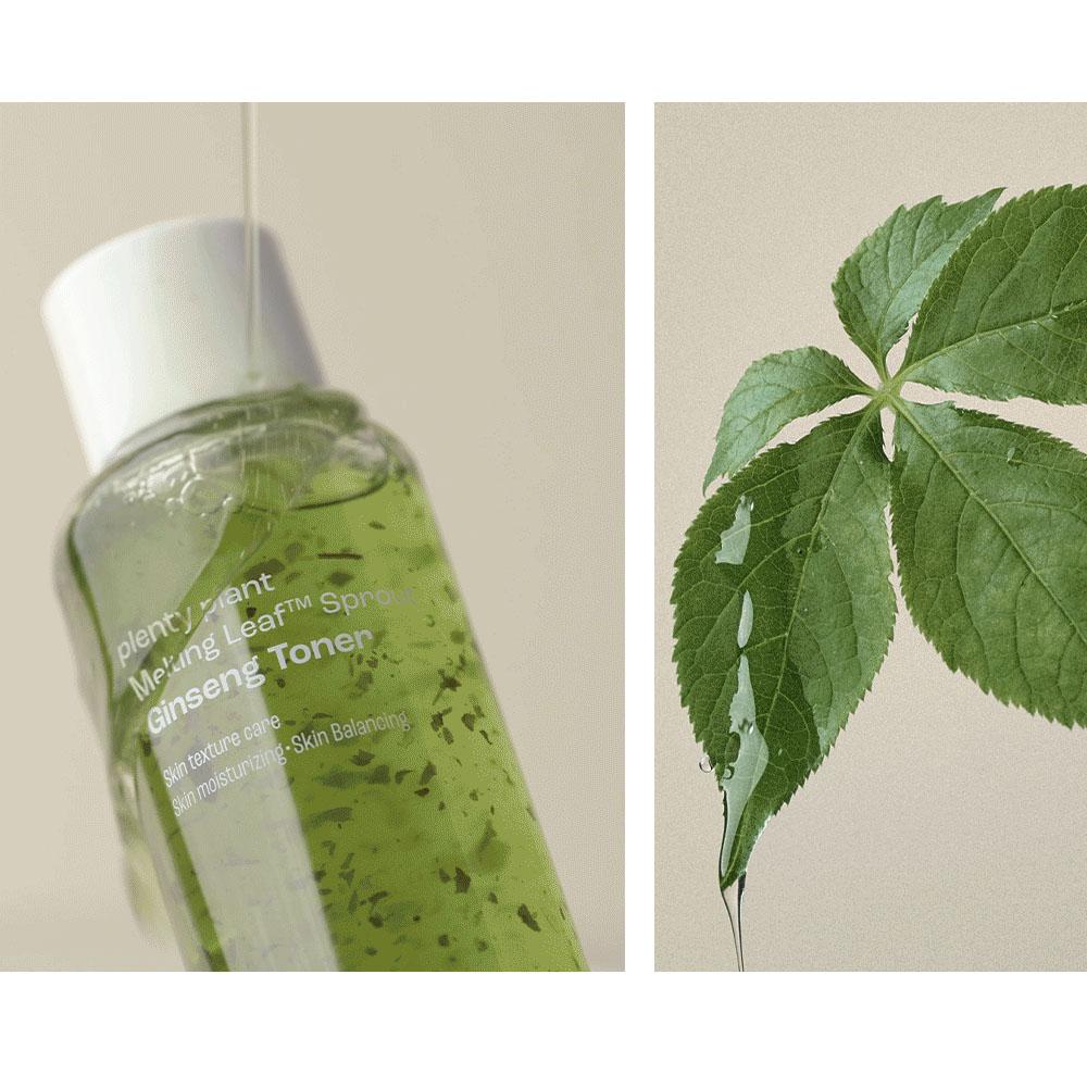 PlentyPlant Melting Leaf Sprout Ginseng Toner 150ml