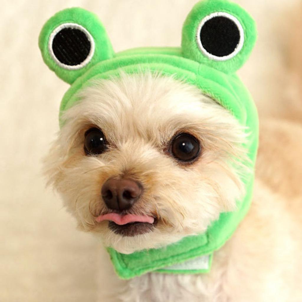 Evcil Hayvan Şapka Bağlayıcı Bant Peluş Kurbağa Evcil Hayvan Başlığı Hayvan Cosplay Köpek Başlığı Partiler İçin Moda Aksesuarı