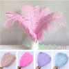 10Pcs Multicolor Ostrich Feather Wedding Home  Carnival Decoration Table Centerpieces 15-20Cm 20-25Cm 30-35Cm Plumes For Crafts