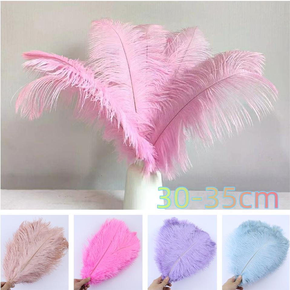 10Pcs Multicolor Ostrich Feather Wedding Home  Carnival Decoration Table Centerpieces 15-20Cm 20-25Cm 30-35Cm Plumes For Crafts