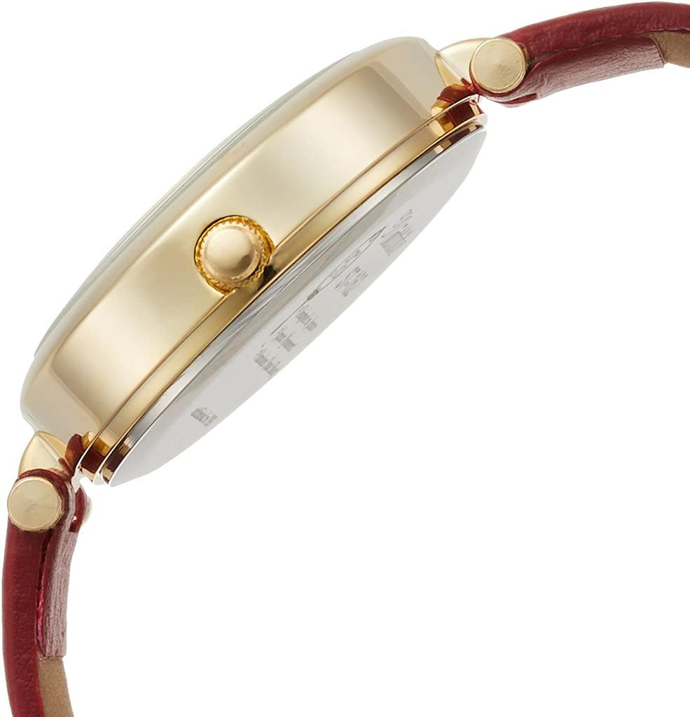 Fieldwork ST162p-3 Women's Cat Gut Analog Watch with Leather Strap, Red