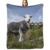 Happy Herdwick Throw Blanket Portable Lightweight Blanket For Travel Camping