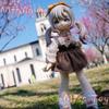 Pre Misya  Museum Of The Weird Series 1/8 Bjd  Posable Anime Action Figure Doll Collectible Bjd Gift Toy