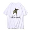 Singer Alex G Wait Im Goated Graphic Tshirt Funny Goat Meme Print Tshirt Unisex Pure Cotton Tees Unisex Oversized Tshirts Tops