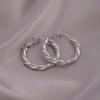 Vintage Korean Niche Design Twist Hoop Earrings: Fashionable, Versatile, and Plain.