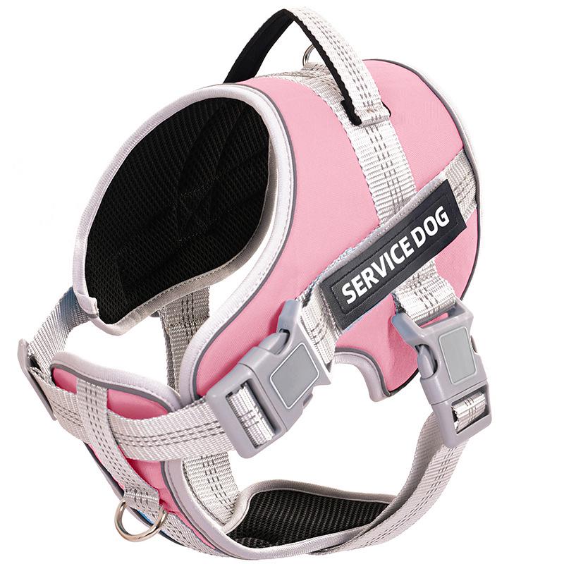 Adjustable Explosion-Proof Dog Leash and Harness for Walking