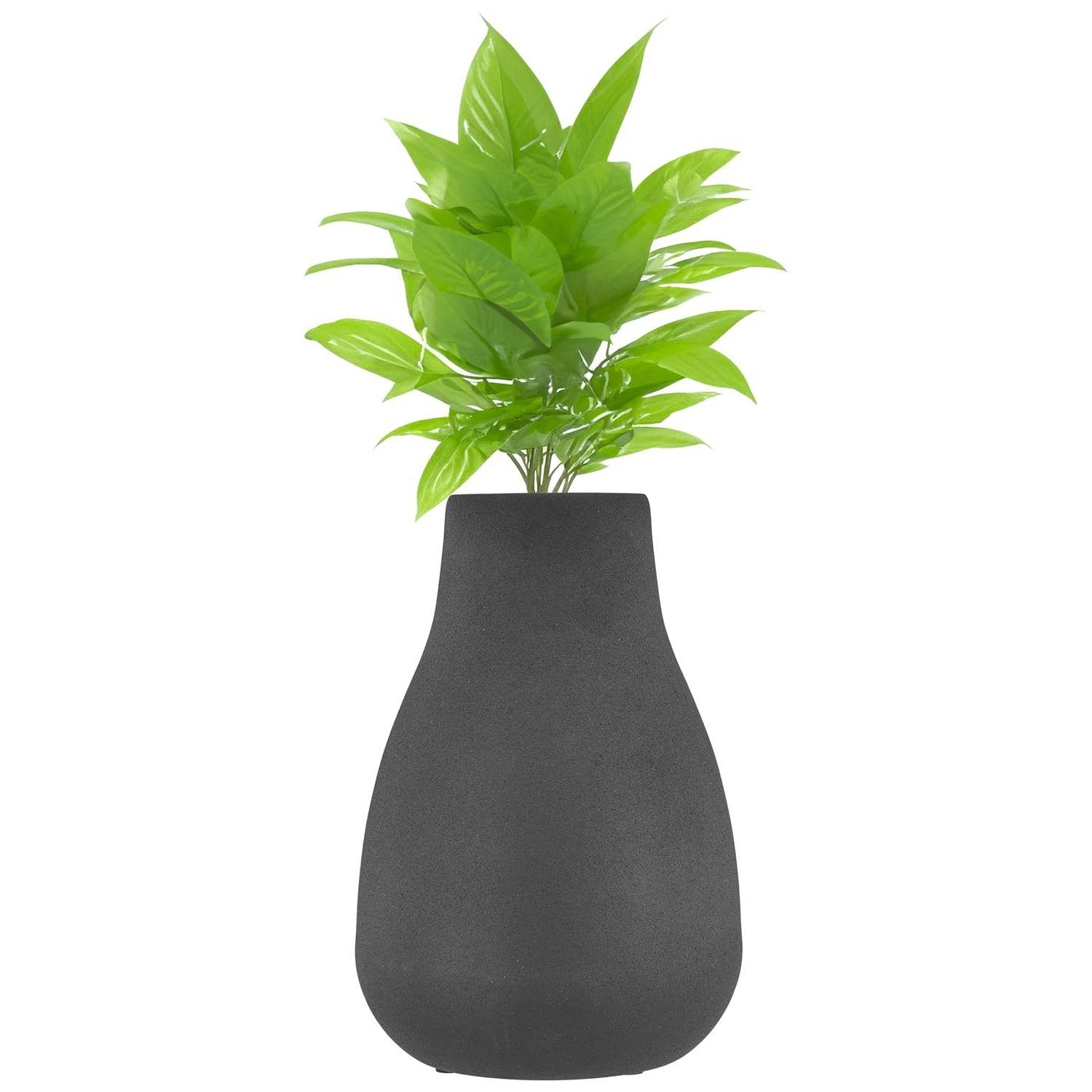 

Ваза для цветов с покрытием, устойчивым к ржавчине | Стильная и легко моющаяся отделка | Компактный дизайн для современного декора | Ваза для букетов (большой) чёрный