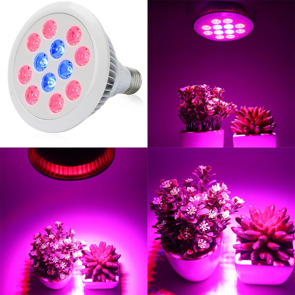Lampa LED do uprawy E27 36W do sadzonek, owoców, warzyw, sukulentów i kwiatów w pomieszczeniach