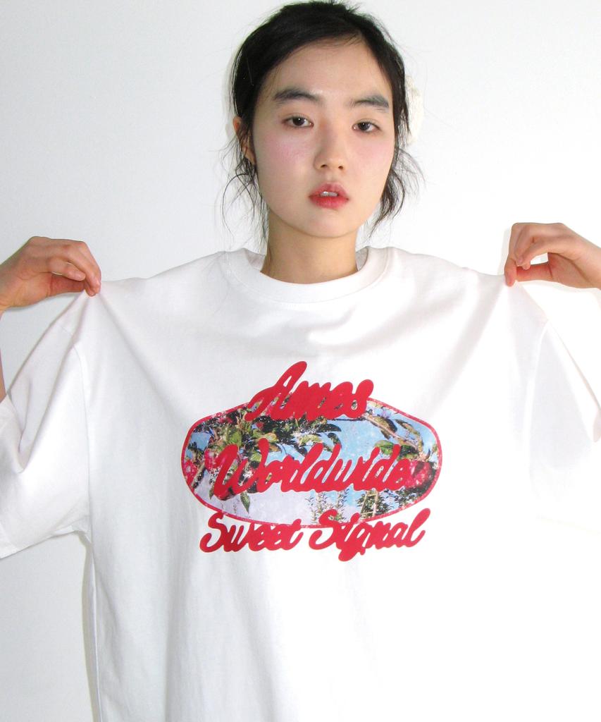 AMES-WORLDWIDE Palm Tree Oval Tee White