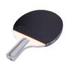 Double Fish 4D-E 4-Star Penhold Table Tennis Racket
