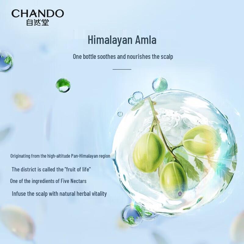 CHANDO Ölkontrolle Flauschiges Shampoo