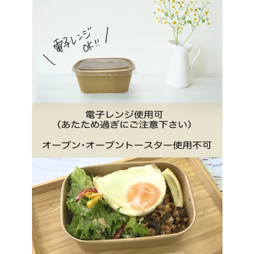 Niche Plus Disposable Containers with Lids, Unbleached, Lunch Box Containers, 1000ml, Pack of 10