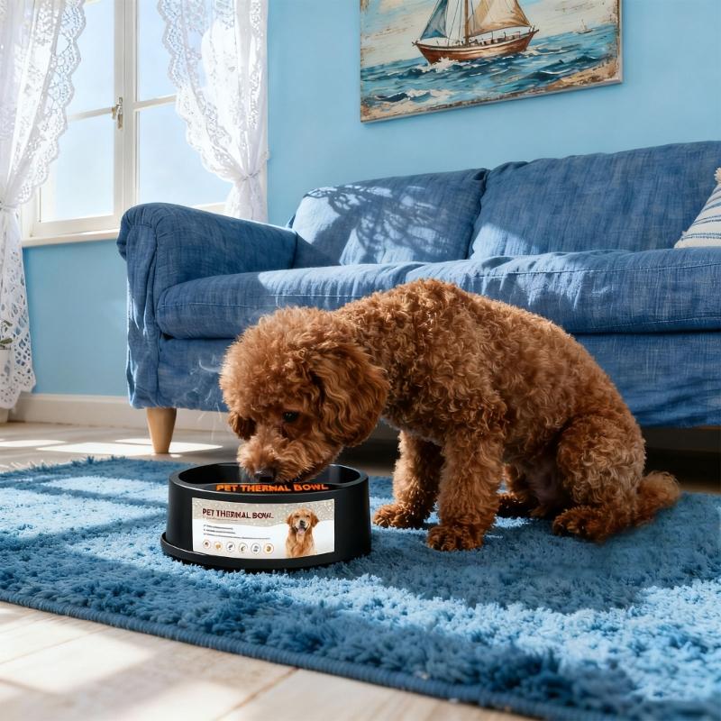 Heated Pet Bowl For Cats And Dogs With Antislip Base Temperature Control Dish For Cold Weather Indoor Outdoor Use