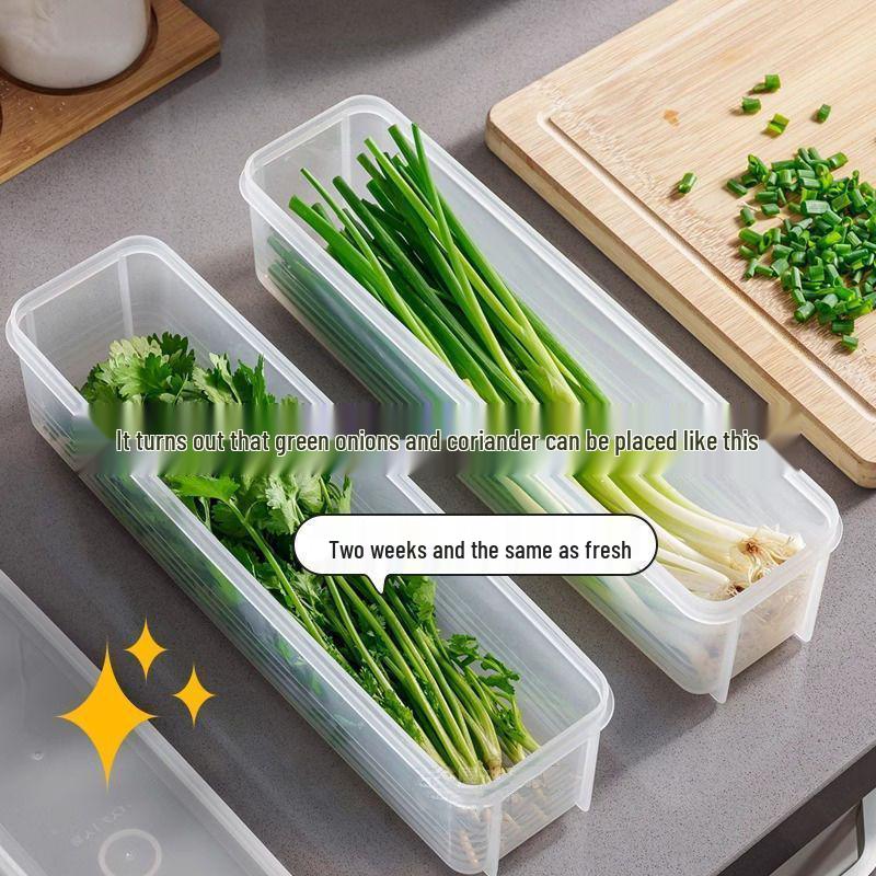 Coriander & Shallot Storage Box - Fresh-Keeping Seal for Refrigerator, Noodles, Eggs & More