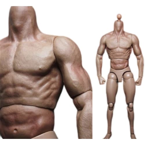 1/6 Head Sculpt Model Fits 12-inch Male Action Figure