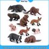 Wild Animal Model Set: Beaver, Fox, Badger, Mink, Bear & Piglet for Miniature Landscapes & Decor