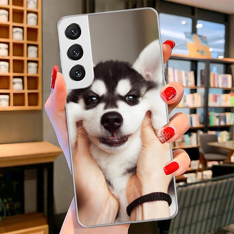 Siberian Husky Dog Cover Phone Case For Samsung Galaxy S26 S25 Edge S24 Ultra S23 S22 Plus S21 S20 FE Soft Fundas Shell Galaxy S
