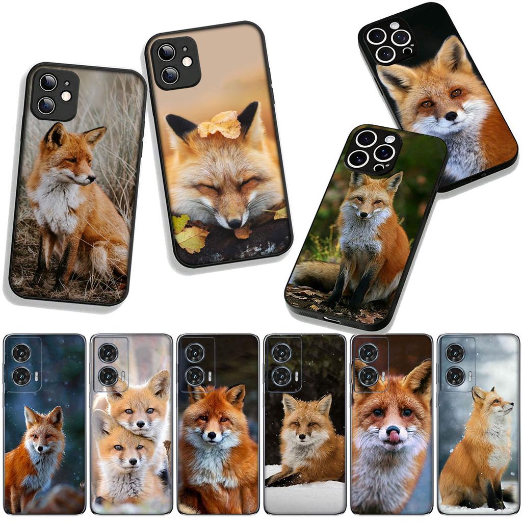 for Samsung Galaxy A36 A17 A26 A07 A35 A54 A53 A13 A33 A34 S8 S9 S20 S21 FE S10 Plus Phone Cover Case Fox Casing
