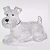 Hair Grooming Dog Hair Storage Box Transparent Puppy Pendants Cartoon Pet Hair Keychain  Backpack