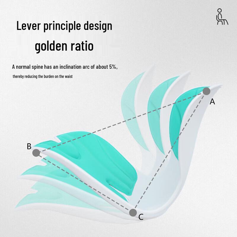 Jiancheng Ergonomic Lumbar and Seat Cushion CN plug (adapter included)