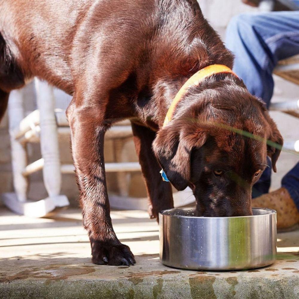 Round Pet Dog Food Feeder Environmental Pet Feeding Bowl Portable Dog Bowl  Cats