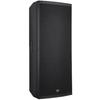 Runpu Professional Dual 15-inch Passive Conference Speaker (CN version)