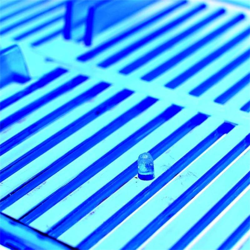 Cutie mare de pești de luptă cu compartiment dublu Eco Rumble Fish Aquarium Mini Aquarium Plastic Isolation Box Box reproduction