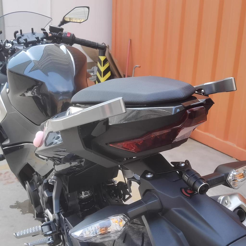 LEDISHUN Motorcycle Grab Bar for Ninja 400 (2018-2023), Ninja 250 (2018-2023), Z400 (2018-2023), and Z250 (2018-2023) (Red)