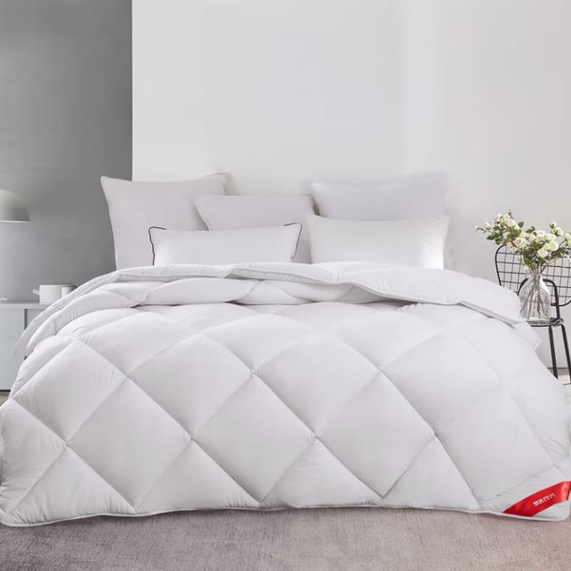 

Mengjie All-Season Two-in-One Quilt