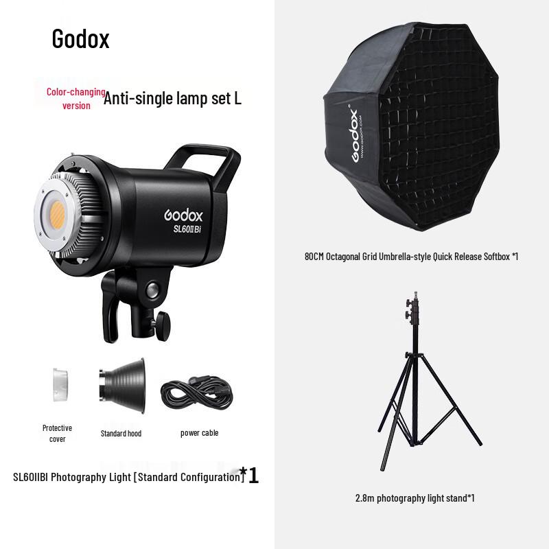 Godox SL60II Bi-Color LED Video Light Kit