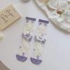 New Women Ladies Sock Fashion Sheer Mesh Glass Silk Socks Ultrathin Transparent Crystal Lace Fabulous Elastic Summer Flower Sock