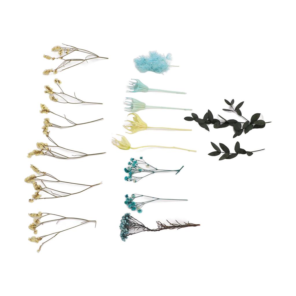 Dried Flowers Natural Odorless Exquisite Bouquet Making Materials DIY Dried Flowers for Tabletop Party Decoration