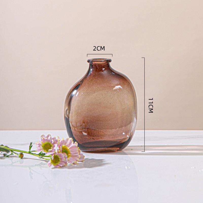 Minimalist Glass Vase for Hydroponic Green Plants - Perfect for Living Room Flower Arrangements and Home Decor