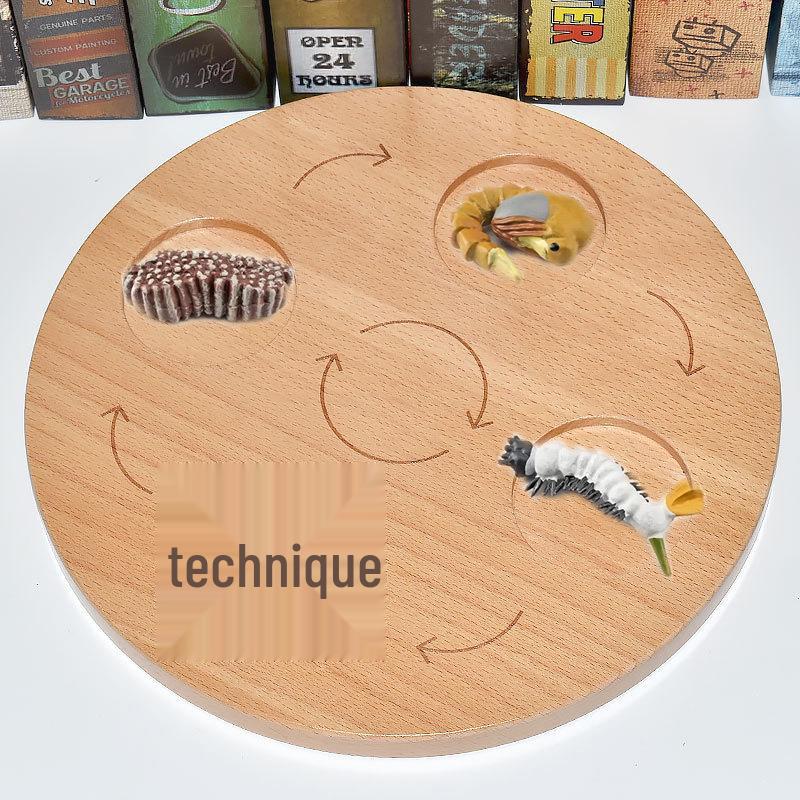 Montessori Plant & Animal Life Cycle Educational Toy Set for Early Learning