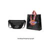 Dickies Large Logo Print Trendy Sports Multi-Layer Large Capacity Crossbody Bag Unisex bags 202U90LBB56