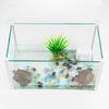 Turtle Tank Filter Low Water Level Water Quality Purified Water Pump Aquarium Turtle Pump Pet Supplies