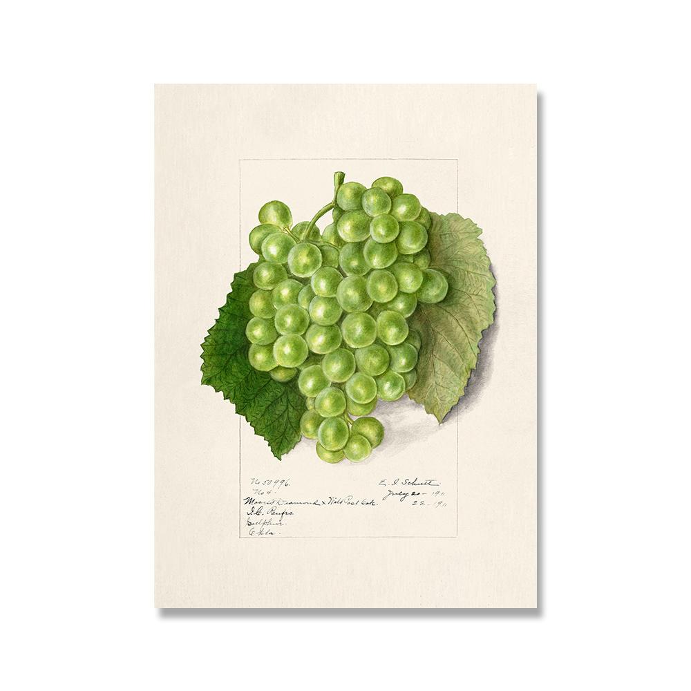 Vintage Retro Fruit Poster Avocado Strawberry Scandinavian Canvas Painting Wall Art Pictures Prints for Kitchen Room Decor