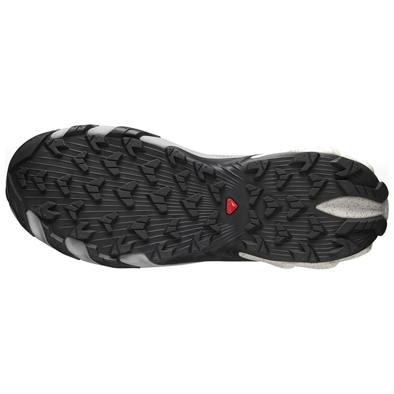 SALOMON Speedverse Prg 'Grey White' / L00 Sneakers 416720