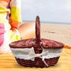 Picnic Basket Storage Serving Beach Rural with Washable Liner Portable Camping Outdoor