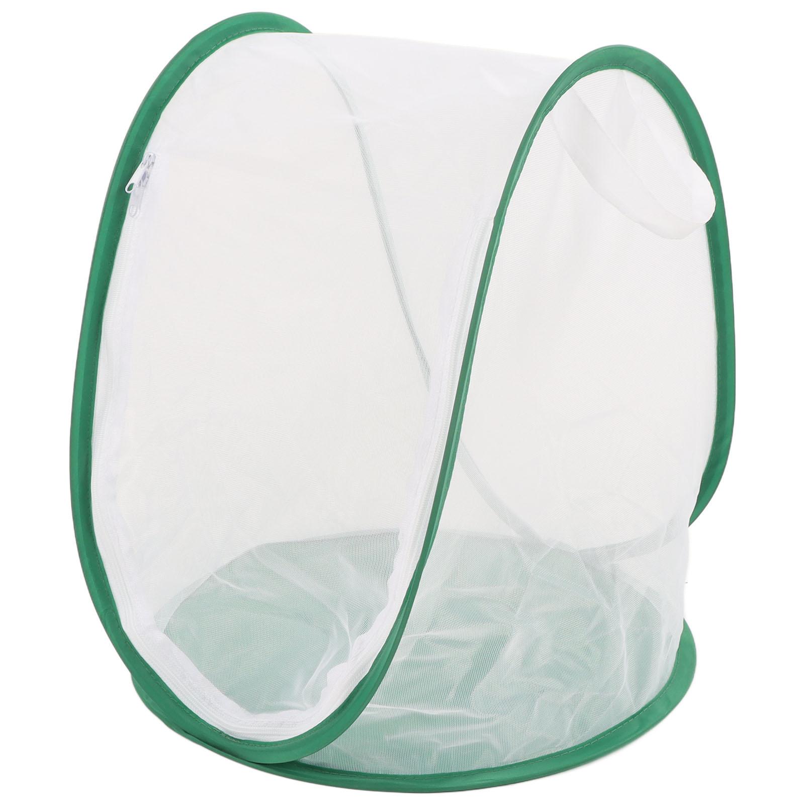 

Large Green Insect Mesh Cage Butterfly Habitat Foldable with Handle for Insect Observation Feeding