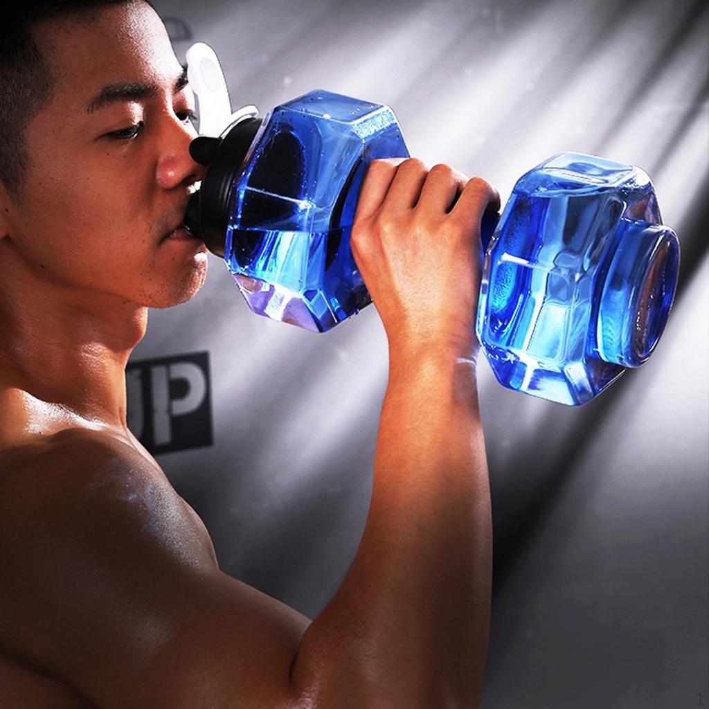 Companion for Fitness Enthusiasts