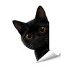 Adesivos de Janela de Animais Raposa Gato Guaxinim Desenho Animado Adesivos Estáticos Removíveis para Quarto de Crianças Sala de Estar Portas de Vidro Janelas