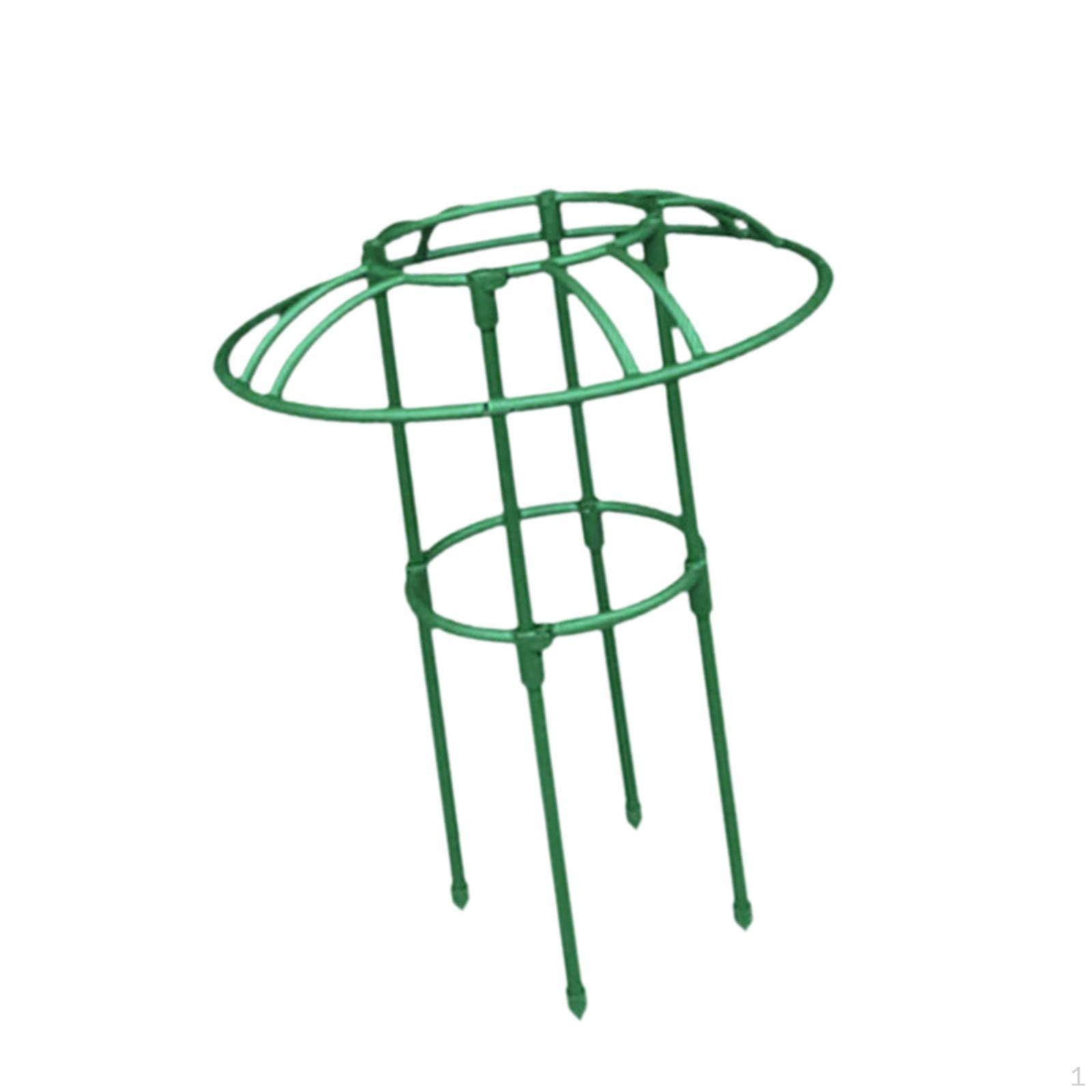 

Climbing Frame for Garden Plants Support Structure Outdoor Flowers 50cm 1 umbrella