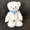 [USED] Familiar Famichan Bear Teddy Bear Plush Toy