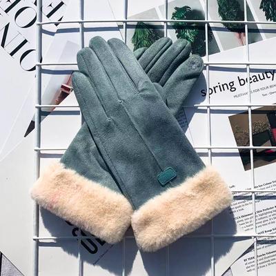 Warm Gloves Outdoor Riding Touch Screen Embroidered Gloves Cold Suede Warm Wool Gloves