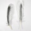 10Pcs Natural White Goose Feathers Dyed Colorful Craft Feathers  Party Costume Accessories Diy Art Supplies