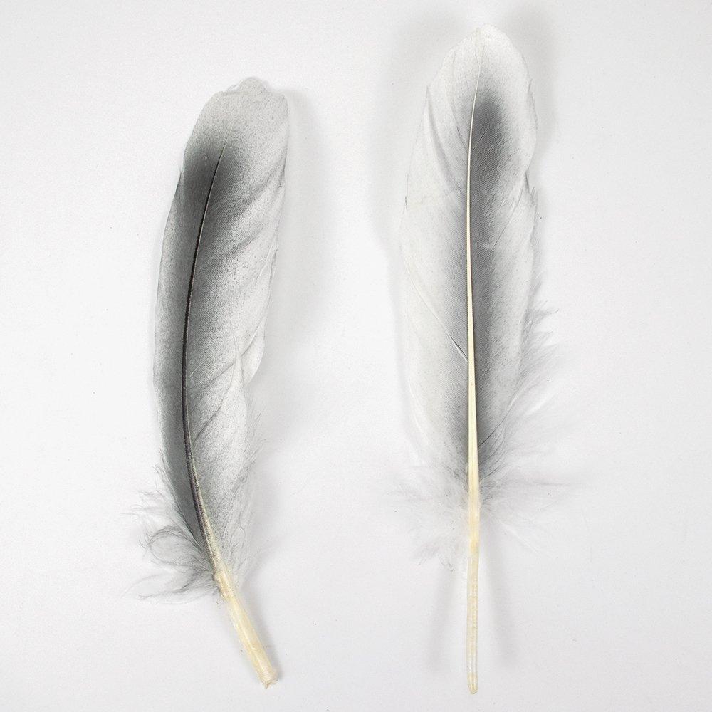 10Pcs Natural White Goose Feathers Dyed Colorful Craft Feathers  Party Costume Accessories Diy Art Supplies