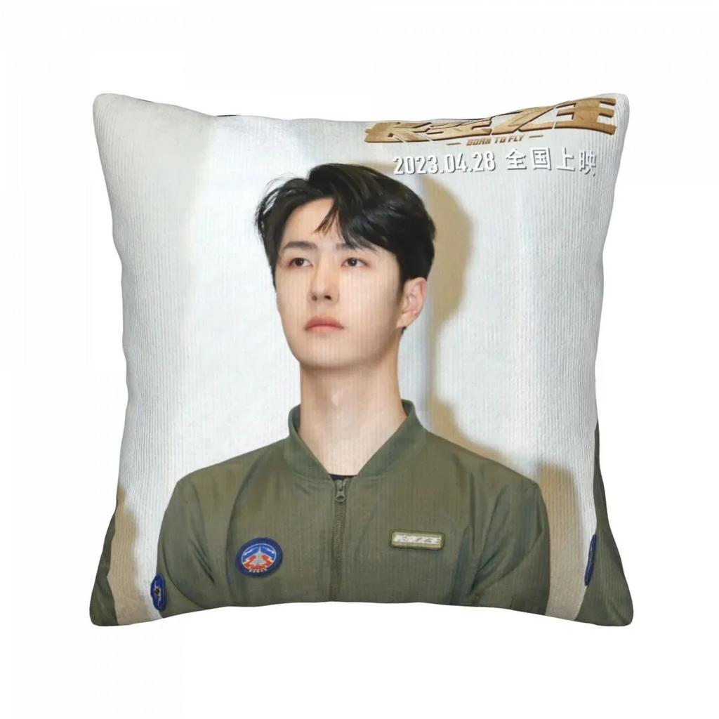 Wang Yibo Yebo Poster Double-sided Printed Pillowcase China Movie Born To Fly Lei Yu Drama Stills Home Car Decor Cushion Cover
