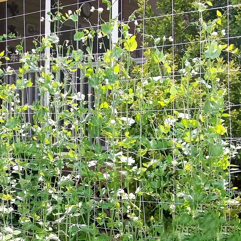 Heavy-Duty Polyester Garden Trellis Netting, Square Mesh - Durable, Easy-to-Use Plant Support for Climbing Plants