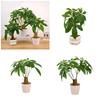 Realistic Bonsai Tree Plant Decoration Artificial Money Tree Potted Plant for Office Desk Living Room Kitchen Countertop